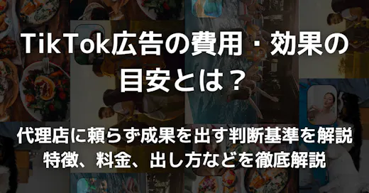 TikTok広告の費用・効果の目安とは？代理店に頼らず成果を出す判断基準を解説